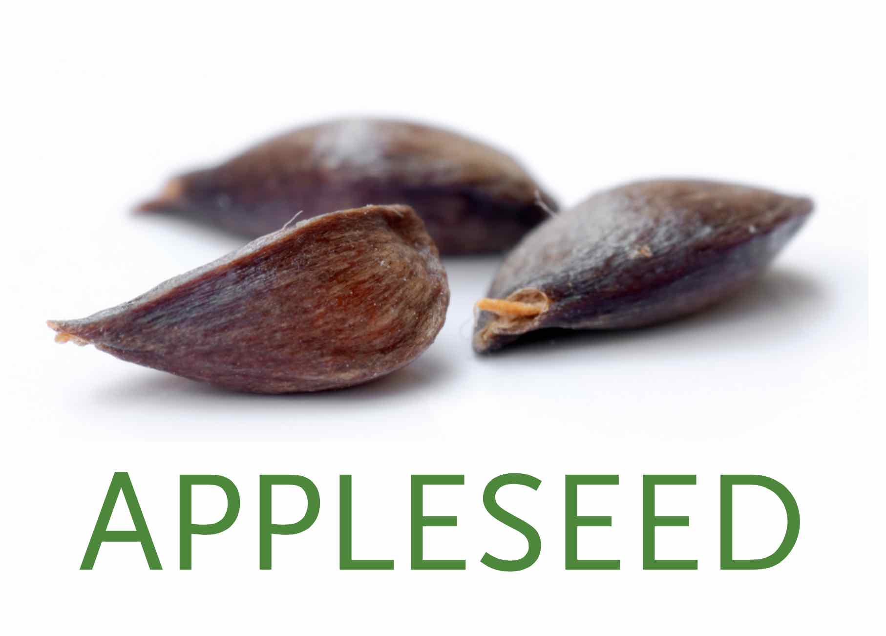 Asian Apple Seed